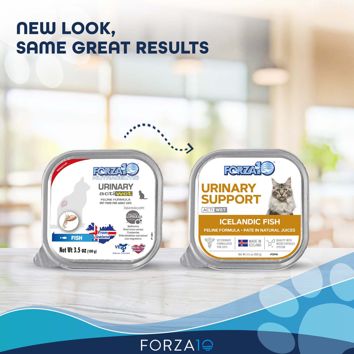Forza10 Nutraceutic Actiwet Urinary Icelandic Fish Recipe Wet Cat Food -  Audubon, NJ