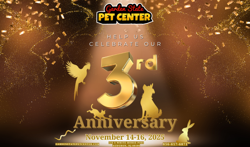 Celebrating 3 Amazing Years at Garden State Pet Center!