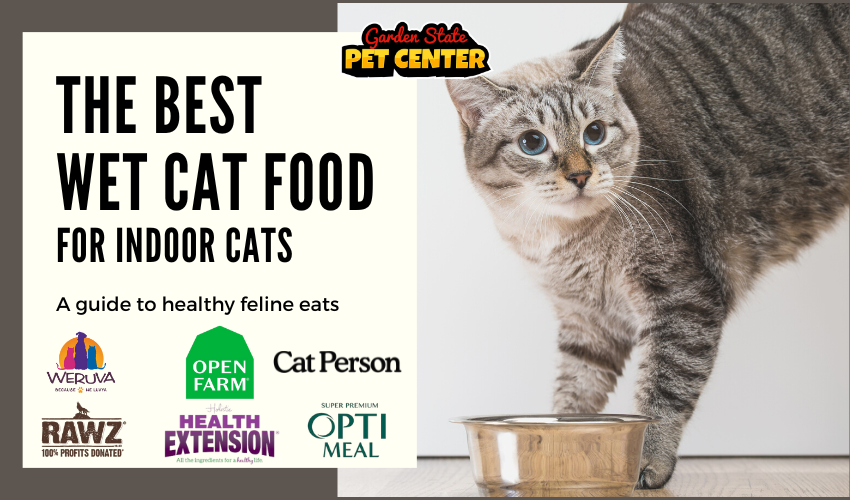 Best Wet Cat Food for Indoor Cats: Our Top Picks for Health, Hydration