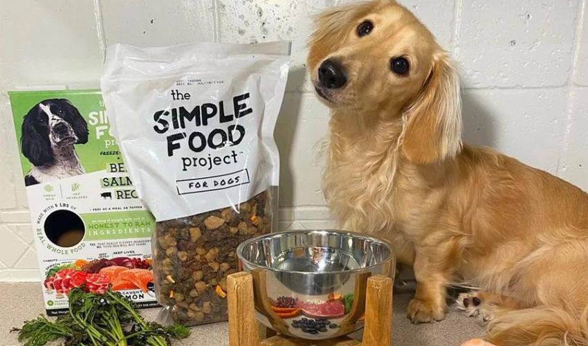 SIMPLE FOOD PROJECT Stands as Choice for Pet Parents