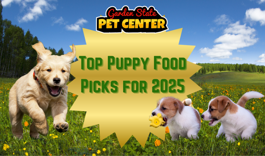 The BEST Puppy Food for 2025: Top Picks for Optimal Growth & Health