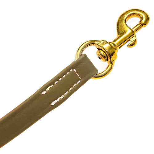 Viper Biothane Long Line 15 ft Lead with Brass Hardware