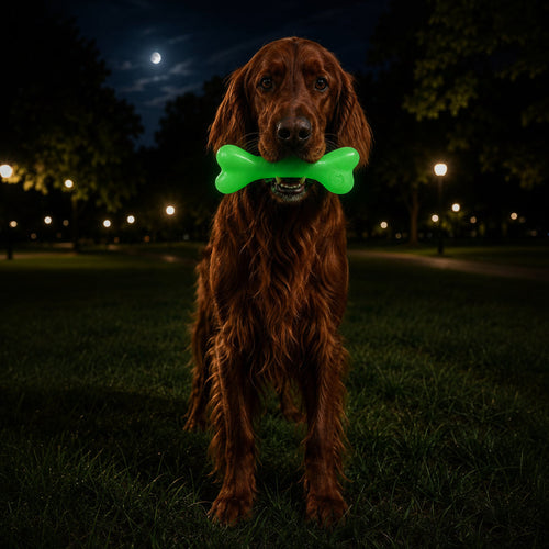 PUP-X Rubber Glow in the Dark Chew Bone Dog Toy - Durable, Floats, Chew Toy for Large Dogs | USA