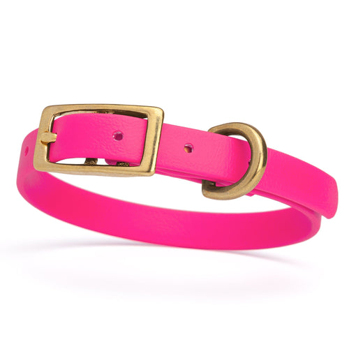 BioThane Waterproof Dog Collar - XS: L 9-12 x W 1/2 - Black OR Brass Hardware