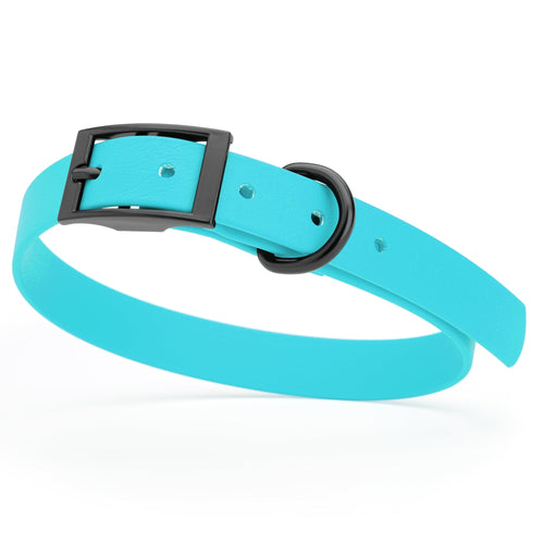 Dogline Biothane Waterproof Dog Collar with Black Hardware - Size M (15 to 18 inches)