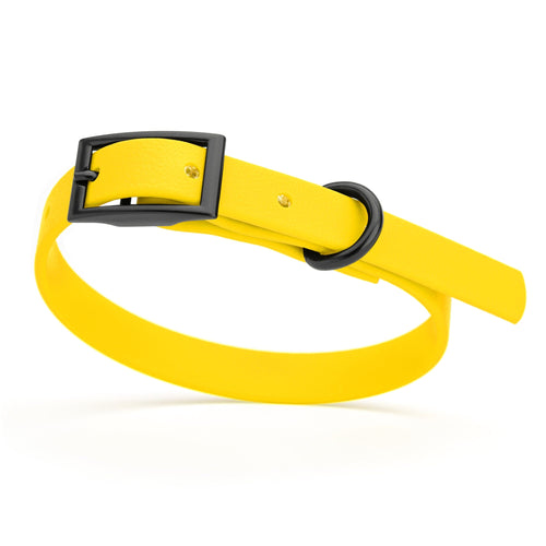 BioThane Waterproof Dog Collar - XS: L 9-12 x W 1/2 - Black OR Brass Hardware