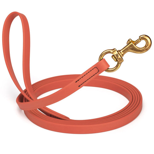 Biothane Working Dog Lead 33ft - Long Line Collection