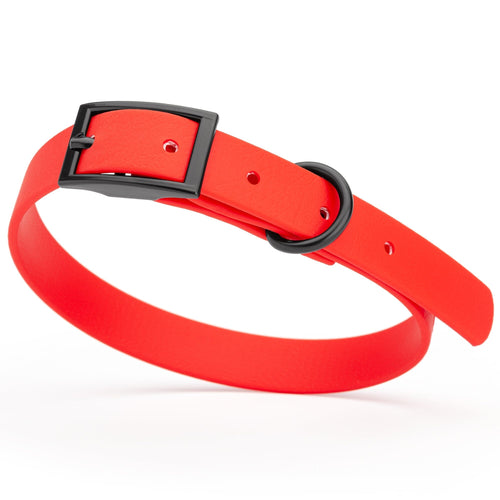 Dogline Biothane Waterproof Dog Collar with Black Hardware - Size S (12 to 15 inches)