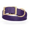 Viper Biothane Waterproof Dog Collar - Brass Hardware - 1.5in Wide, Size XXL (24 to 28 inches)