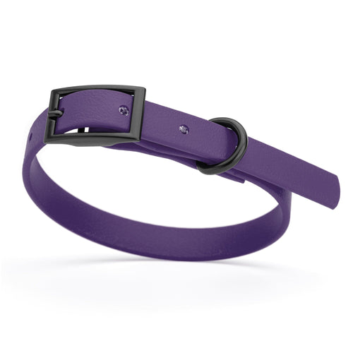 BioThane Waterproof Dog Collar - XS: L 9-12 x W 1/2 - Black OR Brass Hardware
