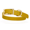 Viper Biothane Waterproof Dog Collar - Brass Hardware - Size XL (22 to 25 inches)