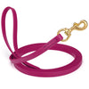 Viper Biothane Long Line 33 ft Lead with Brass Hardware