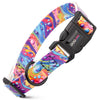 Dogline Biothane Full Color Design Printed Dog Collar with Quick Release Buckle