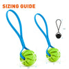 Rubber Spiral Ball with Biothane Handle