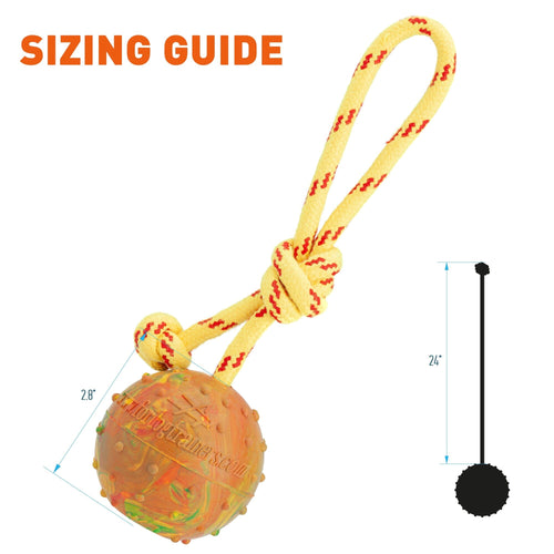 FDT Solid Rubber Dog Ball on Rope, Large - Diameter 2.75 (7 cm)