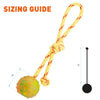 FDT Rubber Dog Ball on Rope, Small - Diameter 2 (5 cm)
