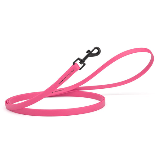 Biothane Waterproof Dog Leash, 4 ft