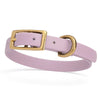 BioThane Waterproof Dog Collar - XS: L 9-12 x W 1/2 - Black OR Brass Hardware