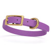 BioThane Waterproof Dog Collar - XS: L 9-12 x W 1/2 - Black OR Brass Hardware
