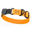 Sprenger BioThane Waterproof Dog Collar with Stainless Steel ClicLock Quick Release Buckle