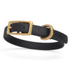 BioThane Waterproof Dog Collar - XS: L 9-12 x W 1/2 - Black OR Brass Hardware