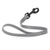 Biothane Waterproof Traffic Lead for Dogs, 2 ft