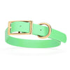 Viper Biothane Waterproof Dog Collar - Brass Hardware - Size L (18 to 22 inches)