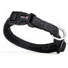 Comfort Microfiber Flat Dog Collar