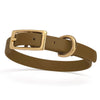 BioThane Waterproof Dog Collar - XS: L 9-12 x W 1/2 - Black OR Brass Hardware