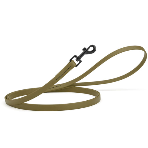 Biothane Waterproof Dog Leash, 4 ft