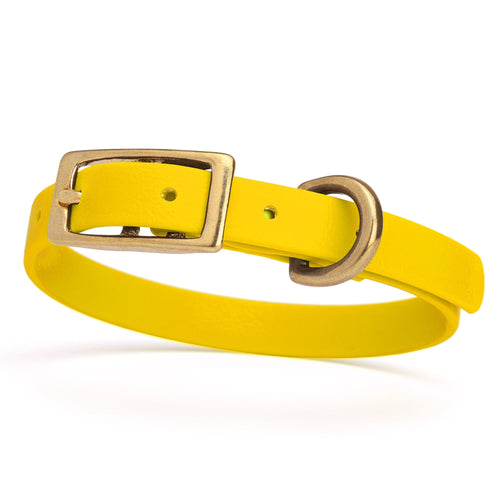 BioThane Waterproof Dog Collar - XS: L 9-12 x W 1/2 - Black OR Brass Hardware