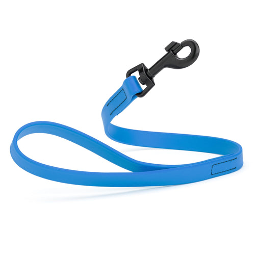 Biothane Waterproof Traffic Lead for Dogs, 2 ft