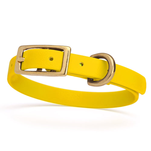 Viper Biothane Waterproof Dog Collar - Brass Hardware - Size XS (9 to 12 inches)