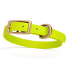 BioThane Waterproof Dog Collar - XS: L 9-12 x W 1/2 - Black OR Brass Hardware