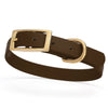 Viper Biothane Waterproof Dog Collar - Brass Hardware - Size S (12 to 15 inches)