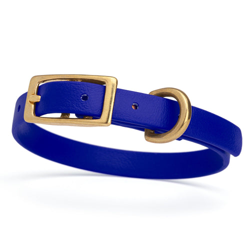 BioThane Waterproof Dog Collar - XS: L 9-12 x W 1/2 - Black OR Brass Hardware