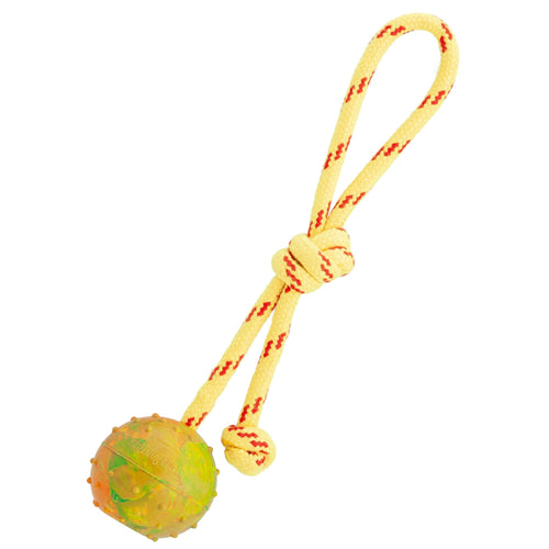 FDT Rubber Dog Ball on Rope, Small - Diameter 2 (5 cm)