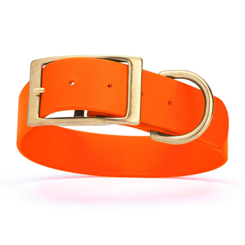 Viper Biothane Waterproof Dog Collar - Brass Hardware - 1.5in Wide, Size XXL (24 to 28 inches)