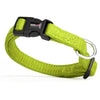 Comfort Microfiber Flat Dog Collar