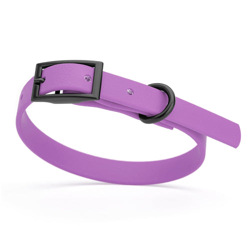BioThane Waterproof Dog Collar - XS: L 9-12 x W 1/2 - Black OR Brass Hardware