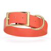 Viper Biothane Waterproof Dog Collar - Brass Hardware - 1.5in Wide, Size XL (20 to 24 inches)