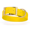 Viper Biothane Waterproof Dog Collar - Brass Hardware - 1.5in Wide, Size XL (20 to 24 inches)