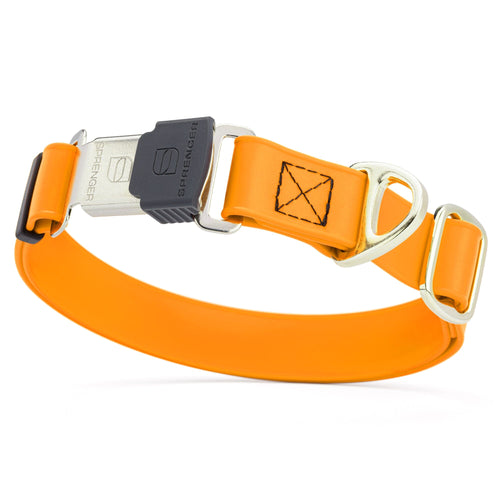 Dogline Biothane Waterproof Dog Collar with Herm Sprenger Stainless Steel Quick Release Buckle
