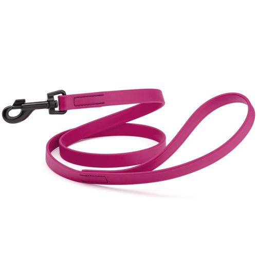 Biothane Waterproof Dog Leash, 4 ft