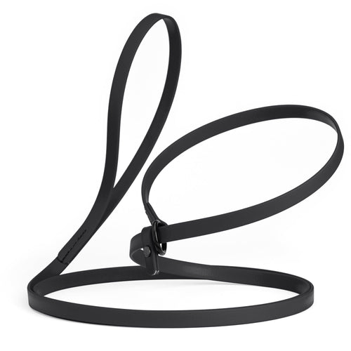 Biothane Slip Lead for Dogs, 5FT and 7FT