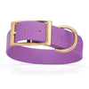 Viper Biothane Waterproof Dog Collar - Brass Hardware - 1.5in Wide, Size XL (20 to 24 inches)