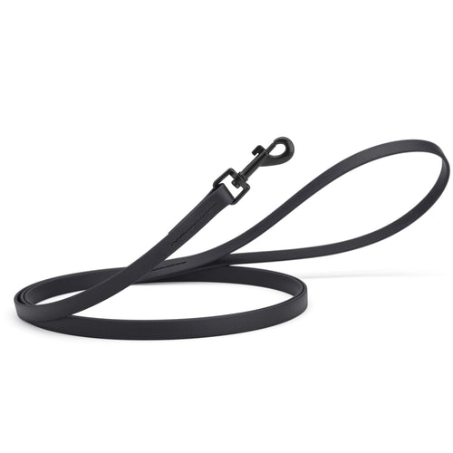 Biothane Waterproof Dog Leash, 4 ft