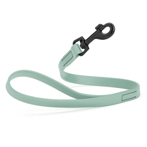 Biothane Waterproof Traffic Lead for Dogs, 2 ft