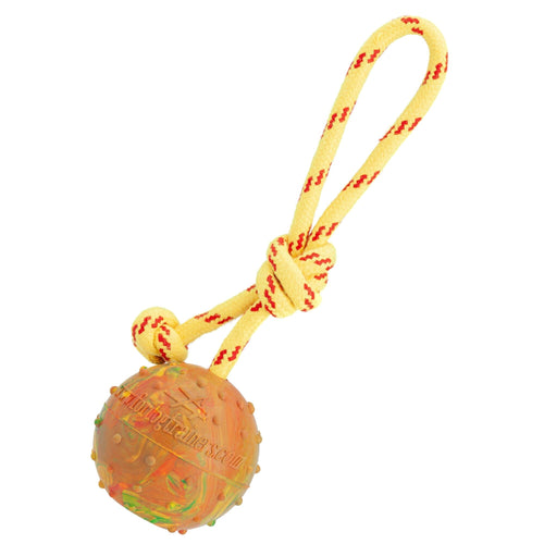 FDT Solid Rubber Dog Ball on Rope, Large - Diameter 2.75 (7 cm)