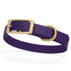 Viper Biothane Waterproof Dog Collar - Brass Hardware - Size S (12 to 15 inches)